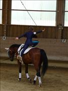 voltitag 2009 _CD1 104